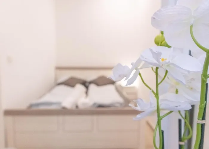 Affordable & Comfortable 1br * Vídeň